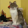Отзыв от Оля Федотова